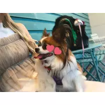 あいら