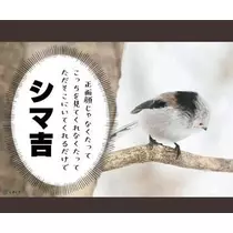 ひな