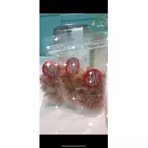 美月 れい