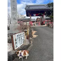 あいら