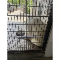 長瀬 純恋