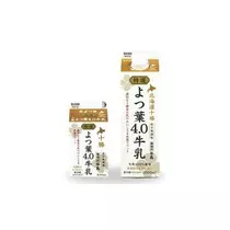 白石 愛莉