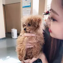 凜