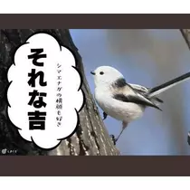 ひな