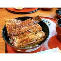 しおん