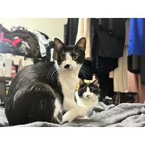 愛望