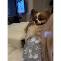 あいら