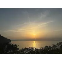 香川 ゆい