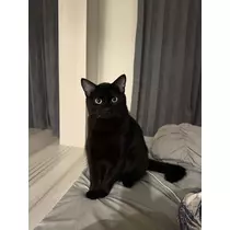 水瀬 そら