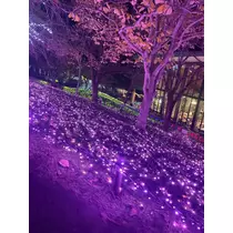 あおい