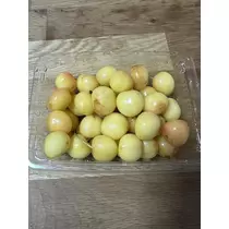 白石 愛莉