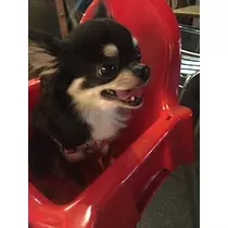 みあ