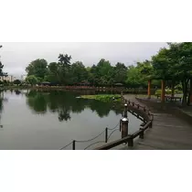 七星 夏純