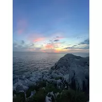 ミユ