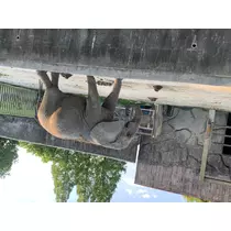 あおい