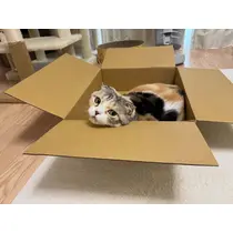 みつき