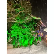 宝條 夏恋