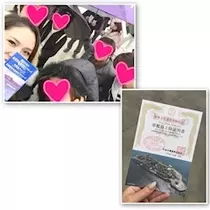 さくら