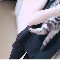 夢乃 サラ