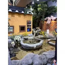 緑 四葉