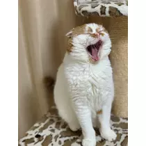 れみ