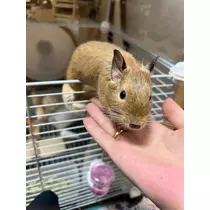 なっちゃん