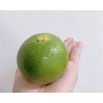 りょう