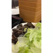佐野 エマ