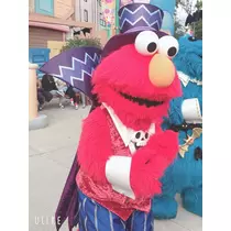 姫花