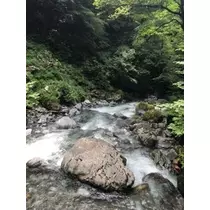 りえ