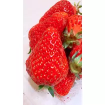 恵里