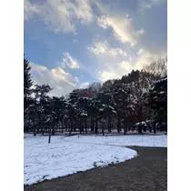 神崎 蘭
