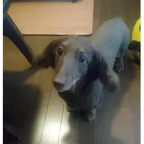 あきな
