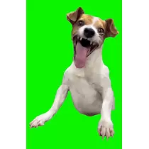 サトミ