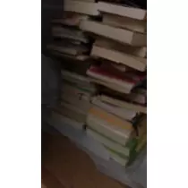 らん