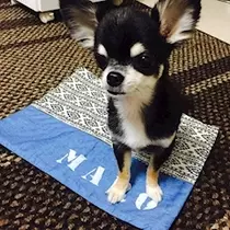みあ