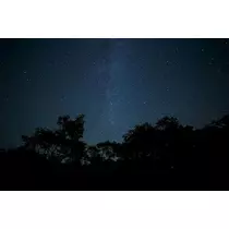 黒川 すみれ