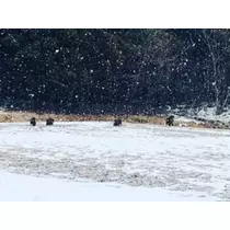 ゆかり