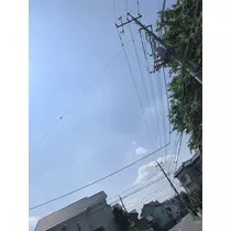 はつね