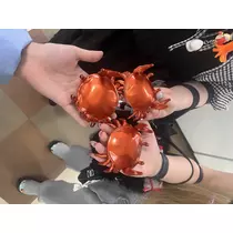 大尻 桃