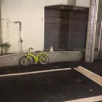 涼宮 れみ