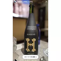 司