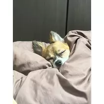ハナ