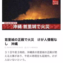 七星 夏純