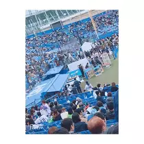 蓮