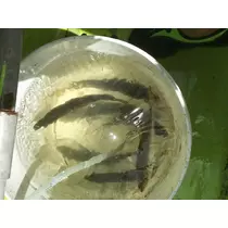 久美