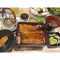 藤本 さや
