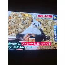 花音