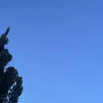 ちゃお