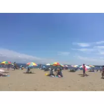 まなみ